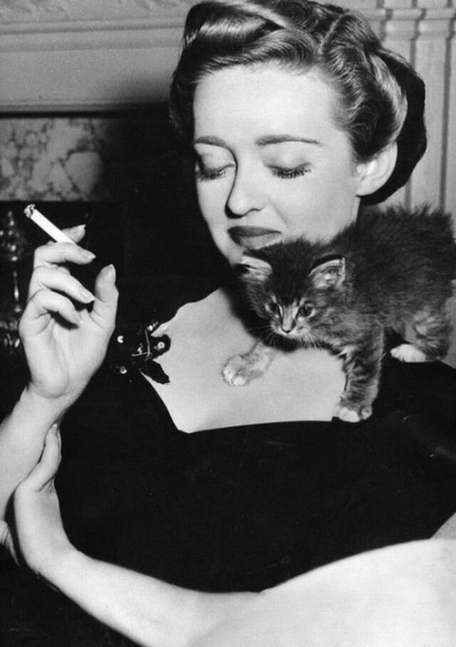 Бетт Дэвис с котенком, апрель 1943
