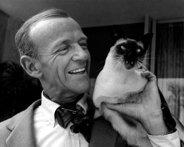 Фред Астер и его сиамский кот Карлайл, 1962