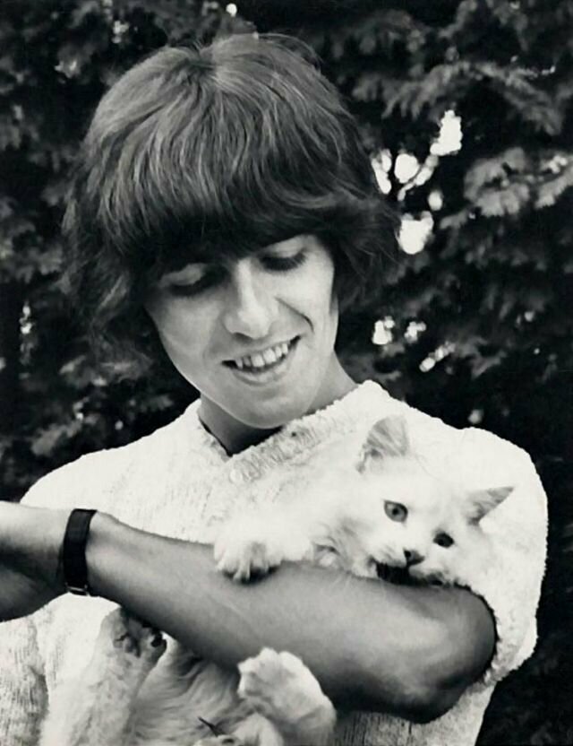 Джордж Харрисон с котом Корки, Суррей, Англия, 1965 