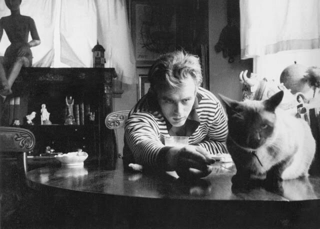 Джеймс Дин с котом Маркусом, подаренным Элизабет Тейлор, 1955