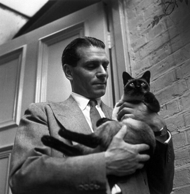 Лоуренс Оливье с котом Нью, Челси, Лондон, 1946 