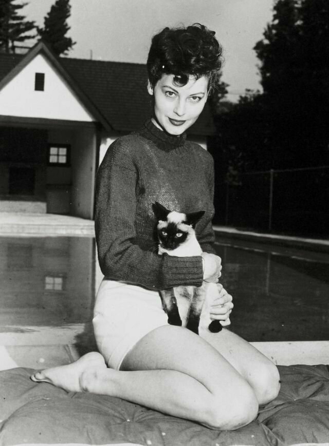 Ава Гарднер и ее сиамская кошка, 1946