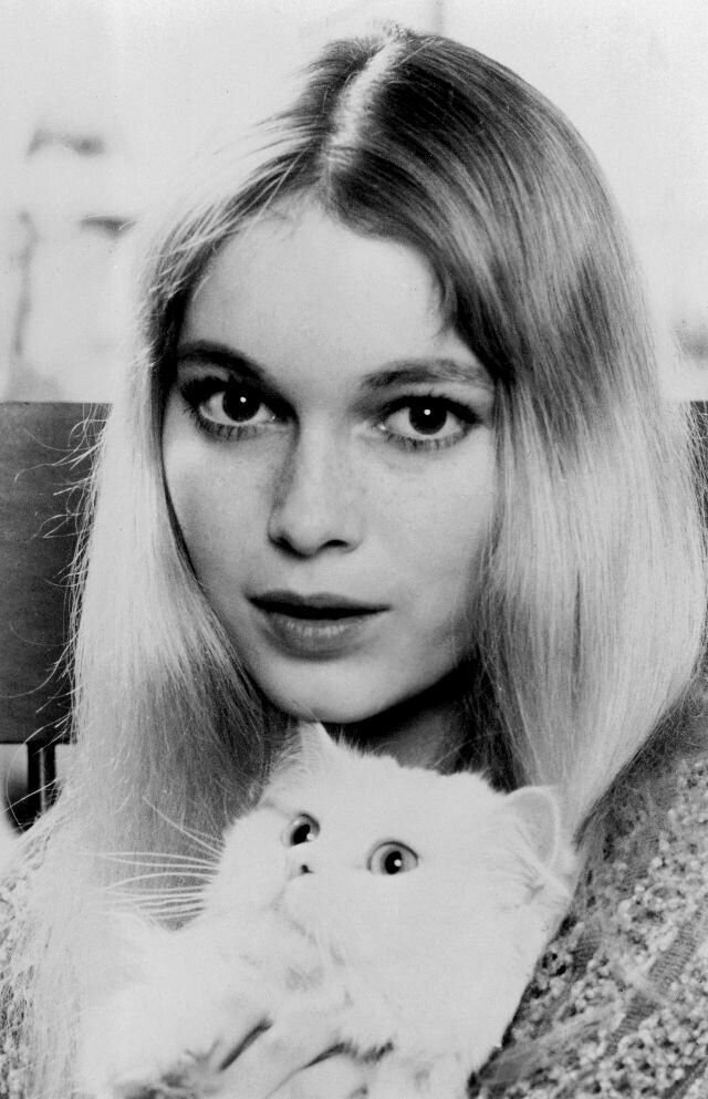 Миа Фэрроу с котом Малкольмом, 1965 