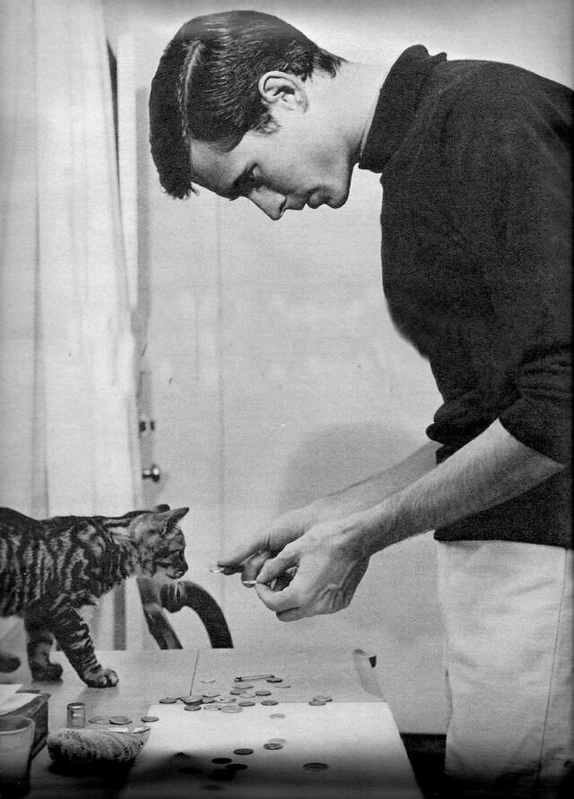 Энтони Перкинс играет с котенком, 1958 