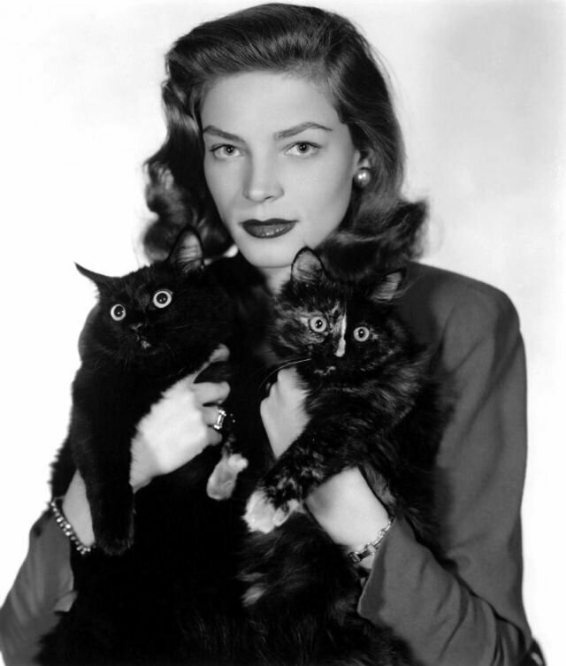 Лорен Бэколл с кошками, 1940-е 