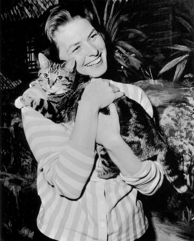 Ингрид Бергман обнимает кота во время съемок в Элстри, Англия, 1958