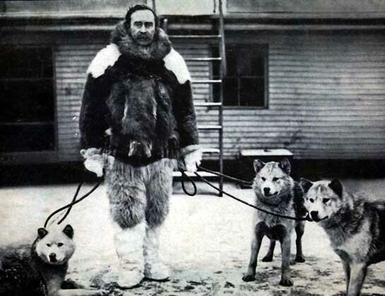 Как собаки Северный полюс открывали. (Одна страшная история)