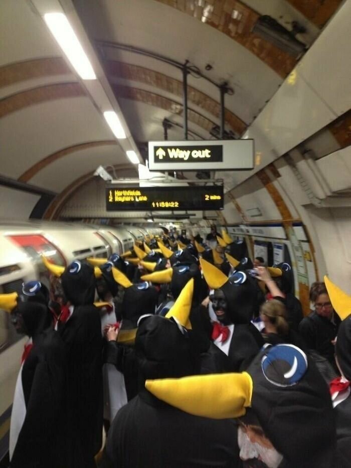 32. Скопление пингвинов в Лондоне