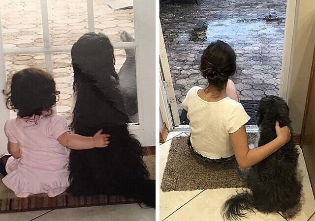 "Моя дочь и наша собака 12 лет назад и сейчас"
