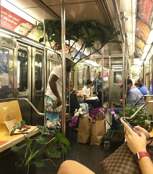 9. «Я видел, как этот парень продавал цветы в вагоне метро»
