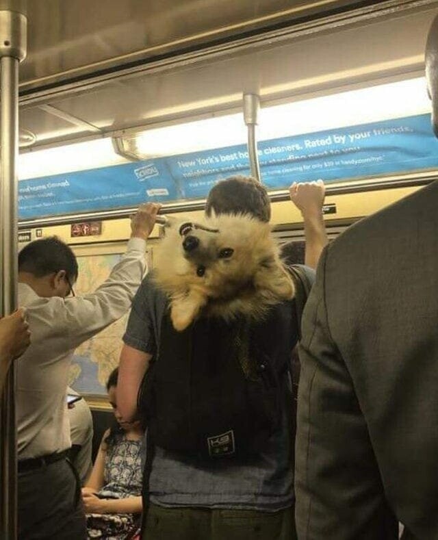 1. «Мы поздоровались с ним в метро в Нью-Йорке»
