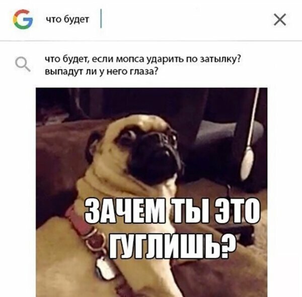 Прикольные и смешные картинки