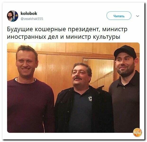 Политические картинки