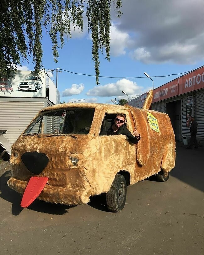 Россиянин воссоздал собакомобиль из фильма "Тупой и еще тупее"
