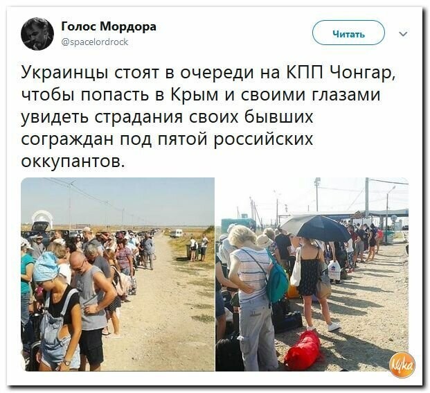 Политические картинки