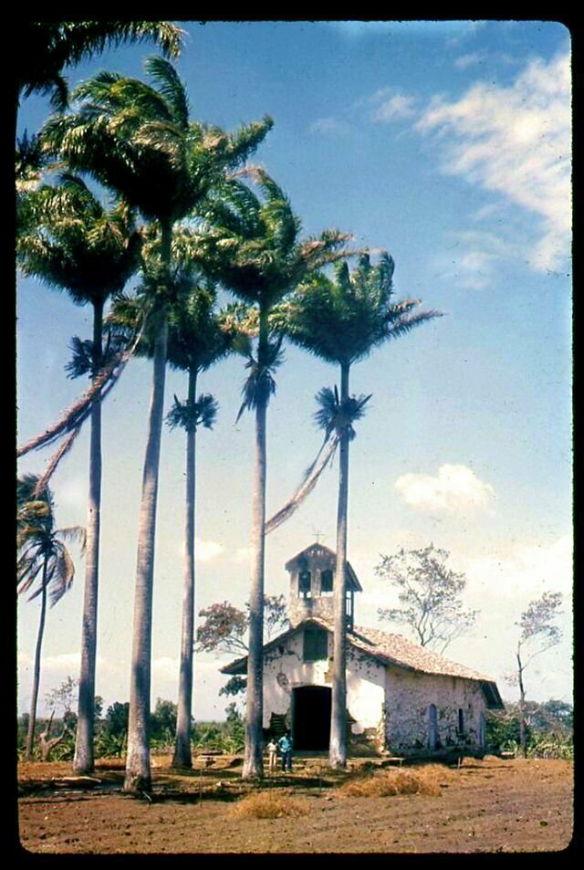 22. Церковь и пальмы