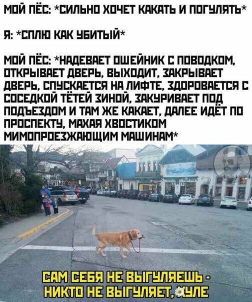 Прикольные и смешные картинки