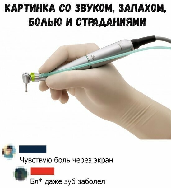 Прикольные и смешные картинки