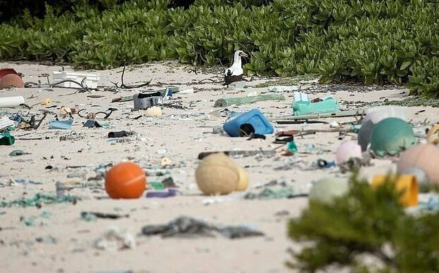 Необитаемый остров пал жертвой пластикового мусора
