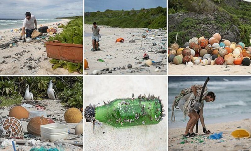 Необитаемый остров пал жертвой пластикового мусора