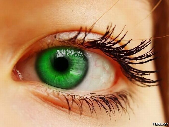 Самым редким цветом глаз у человека считается зеленый