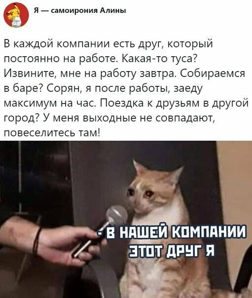 Прикольные и смешные картинки