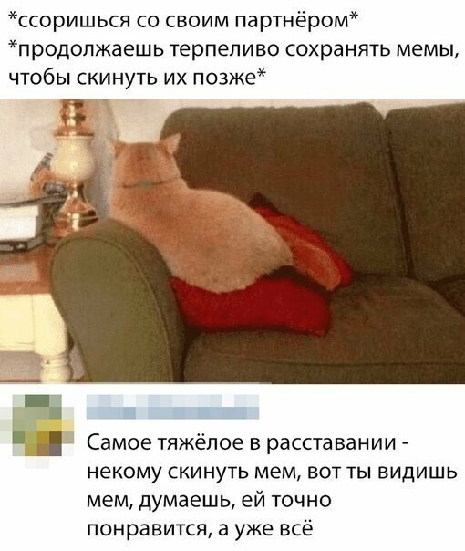 Прикольные и смешные картинки