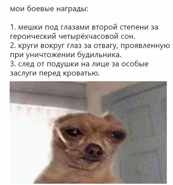 Прикольные и смешные картинки