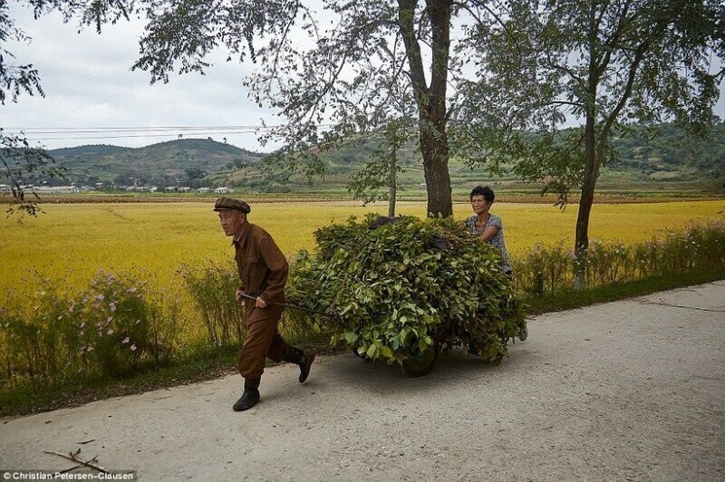 Фотограф снимает богатых людей Северной Кореи