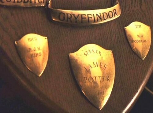 Топ-15 фактов о Гарри Поттере, которые сшибут вас с метлы