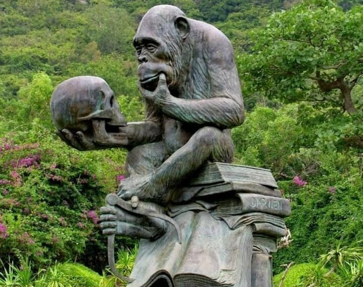 Являетесь ли вы поклонником &quot;обезьяньей теории&quot;?