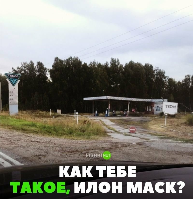 Как тебе такое, Илон Маск?