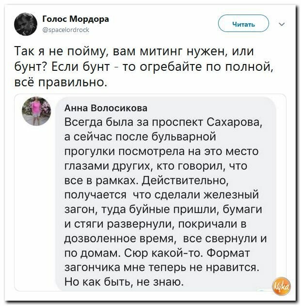 Политические картинки