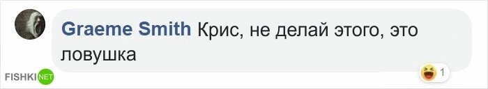 Беременная женщина пыталась связаться с отцом ребенка с помощью граффити