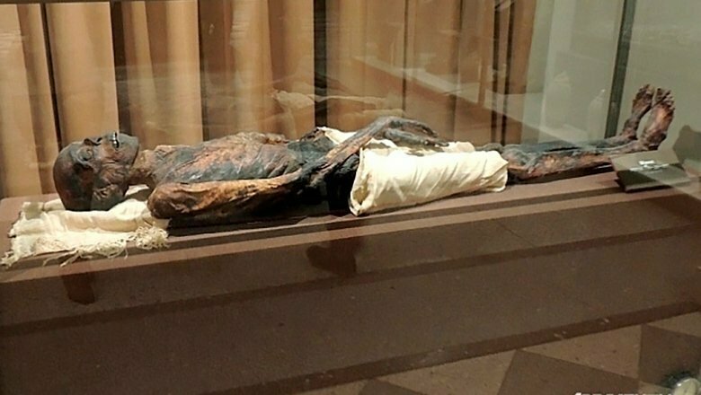 Древнеегипетская мумия