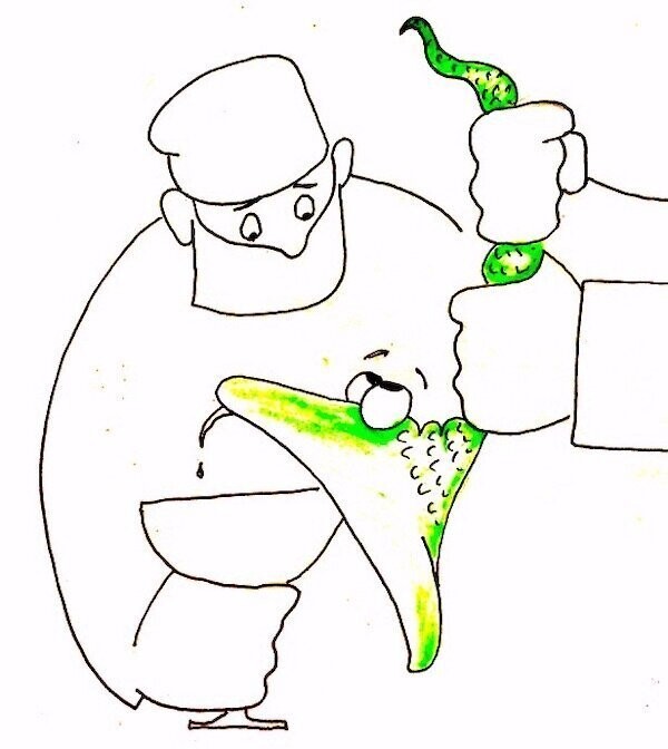 Эффект разворовавшейся бомбы
