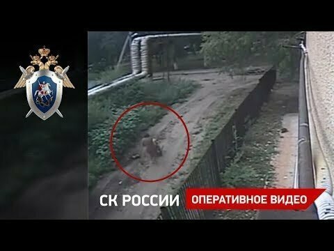 Падения болгарки на 2-летнюю девочку 