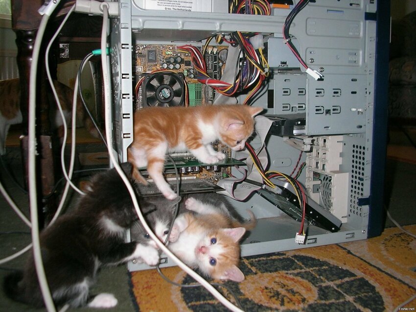 Коты "Ремонтники"( с просторов интернета)
