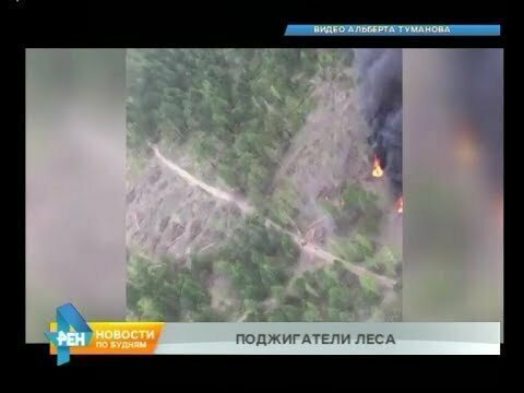 Поджигателей тайги заметил лётчик во время авиапатрулирования в Черемховском районе 