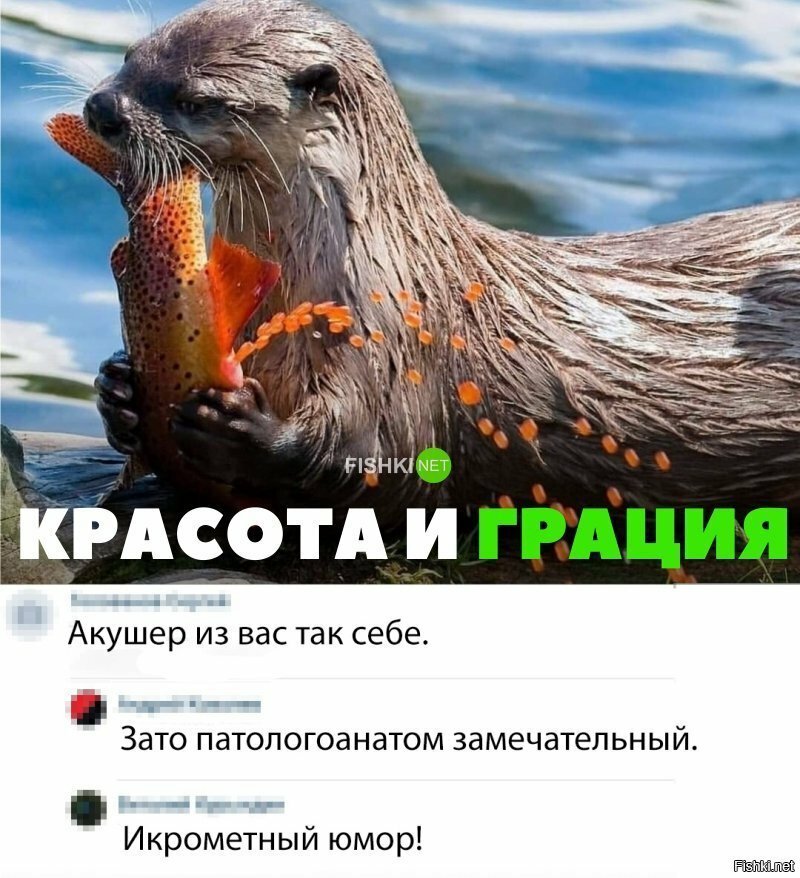 Красота и грация