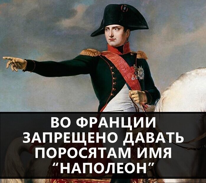 Первый признак Зомби Апокалипсиса - Кальмары в Думе. Похоже в России он уже начался