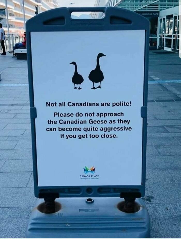 Канадцы бывают агрессивными