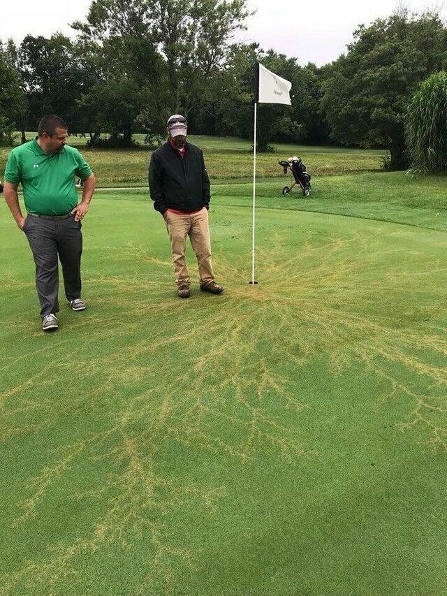 Что происходит, когда молния ударяет во флаг на поле для гольфа