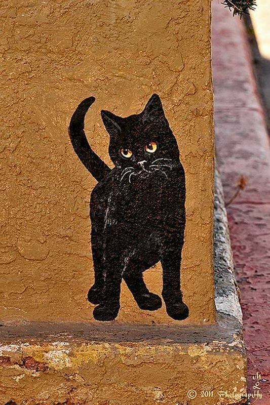 Кошки в мире граффити