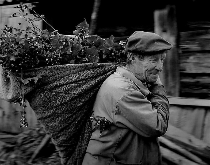 добрая бабушка. старые душевные. молчаливое поколение. душевные фото прошлых лет. лысый ангел.