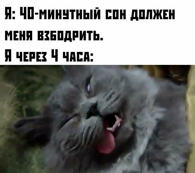 Намешалось