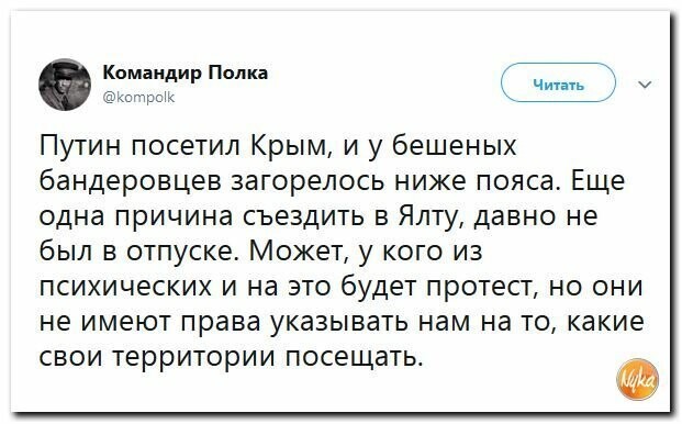 Политические картинки