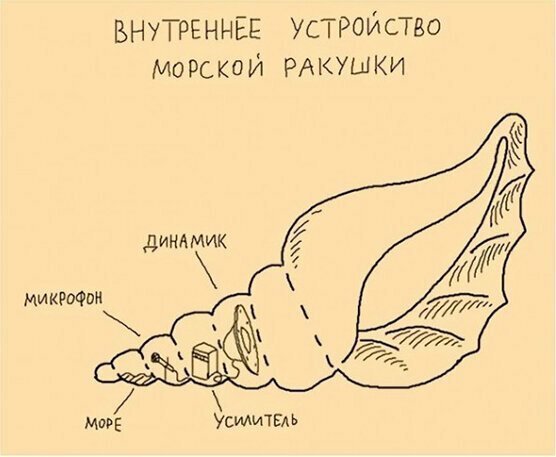 Прикольные и смешные картинки