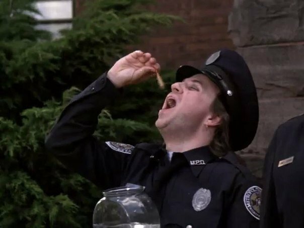Боб Голдтуэйт, а Вы помните этого персонажа из "Полицейской академии 2,3,4" ?