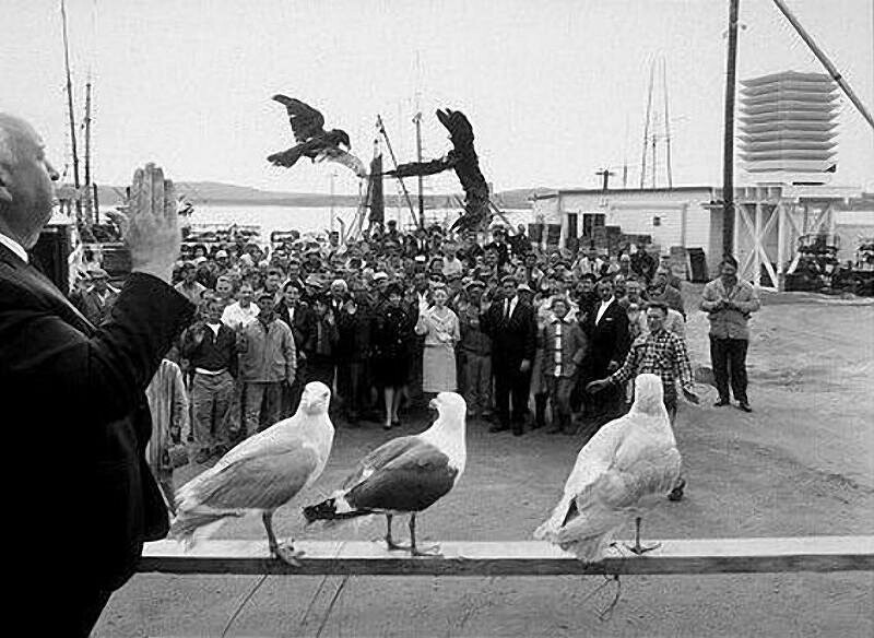 «Птицы», 1963 год.